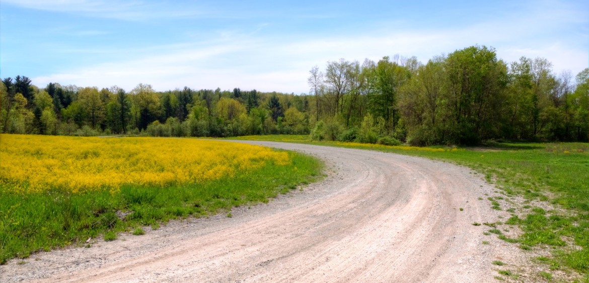 What's Around The Bend